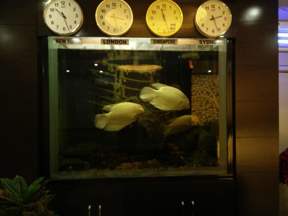 Фото Dhauladhar Heights