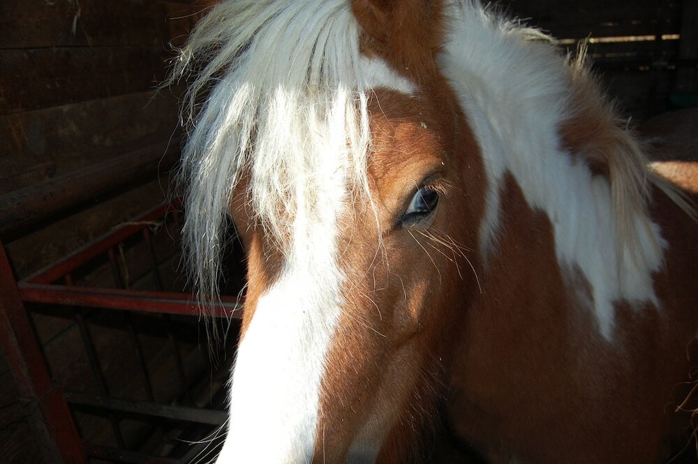 Фото Agriturismo Santa Caterina
