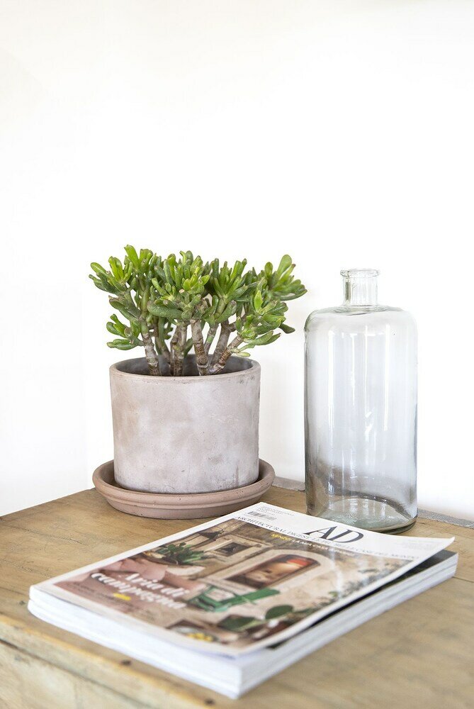 Фото Iuta Glamping & Farm