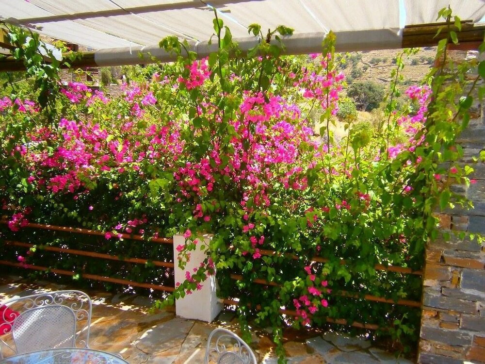 Фото Elea Koundouros