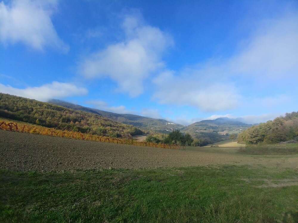 Фото Agriturismo Colle Casini Cortesi