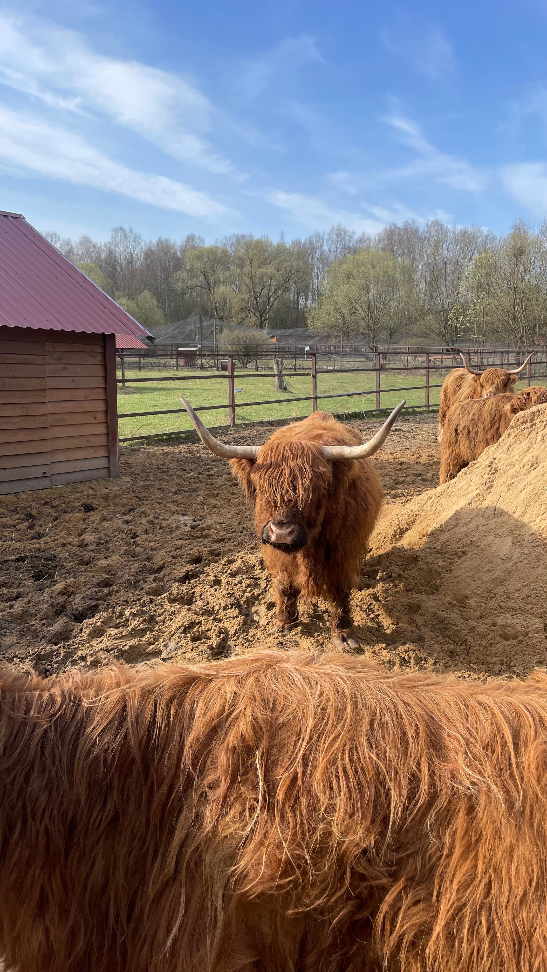 Фото Гостиница Парк Птиц