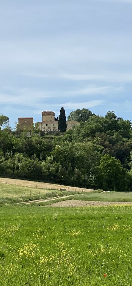 Фото Agriturismo Il Cerreto