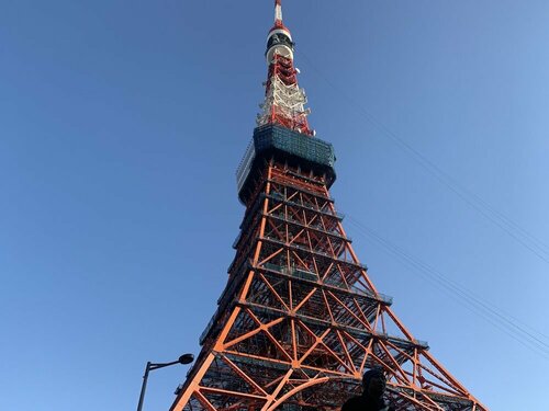 Гостиница Hotel Owl Tokyo Shinbashi в Токио