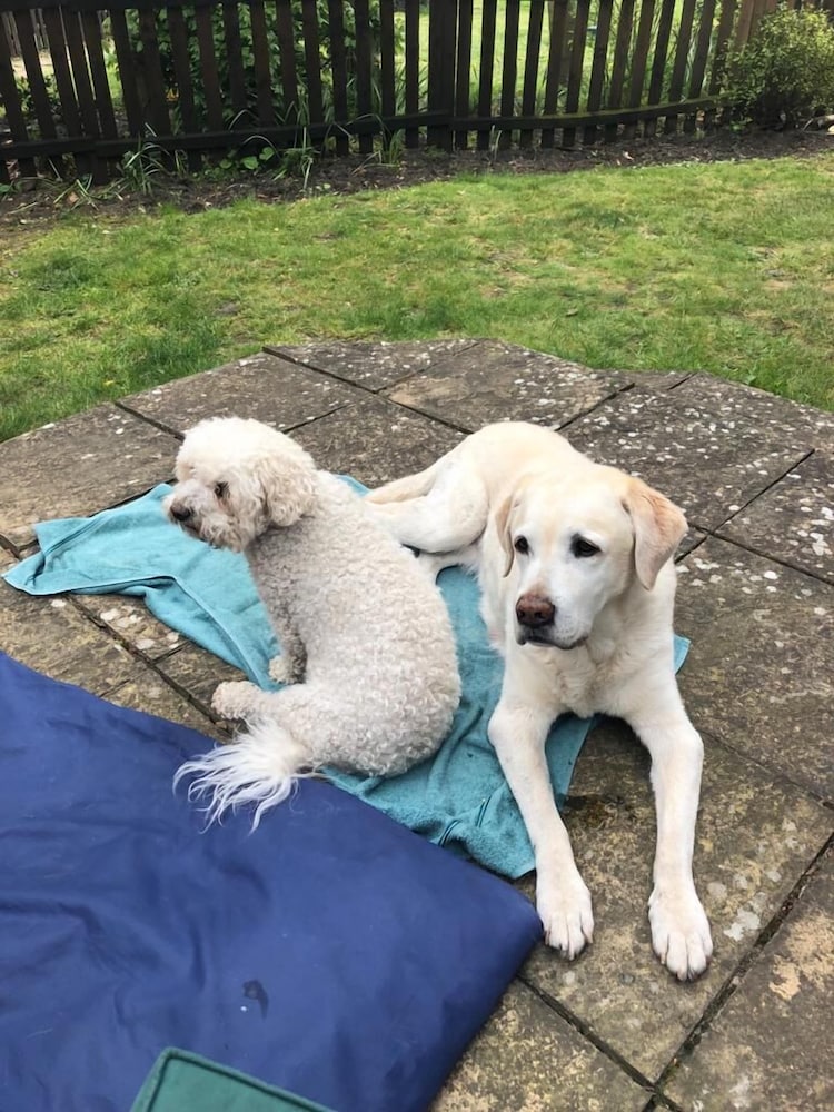 Фото Sheephouse Manor