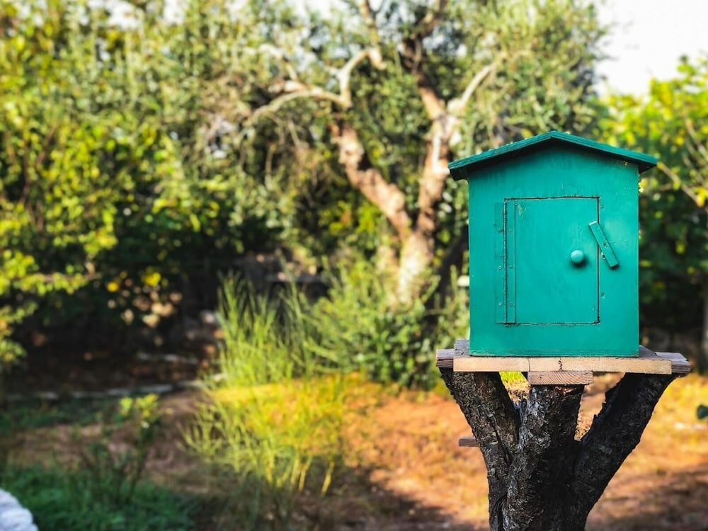 Фото Masseria Borgo del Gallo