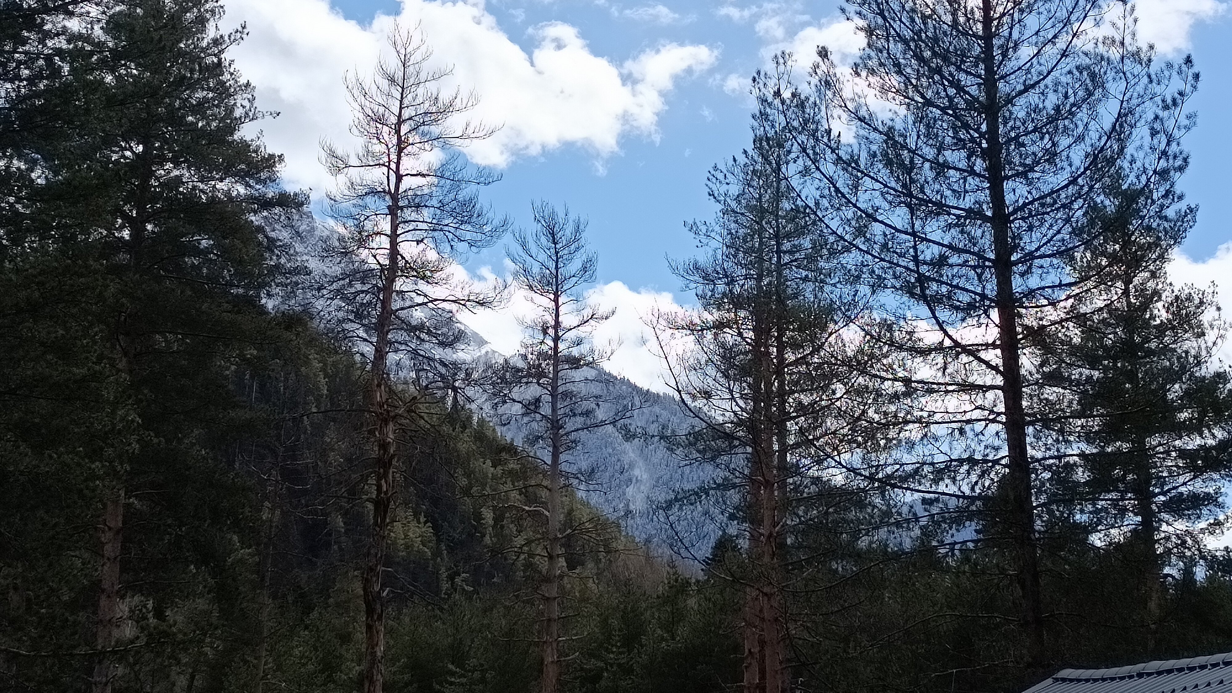 Фото Архыз Шале