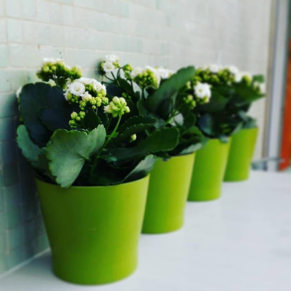 Фото My Room in Trani