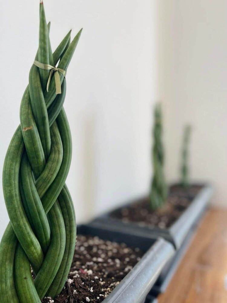 Фото Eora Studios