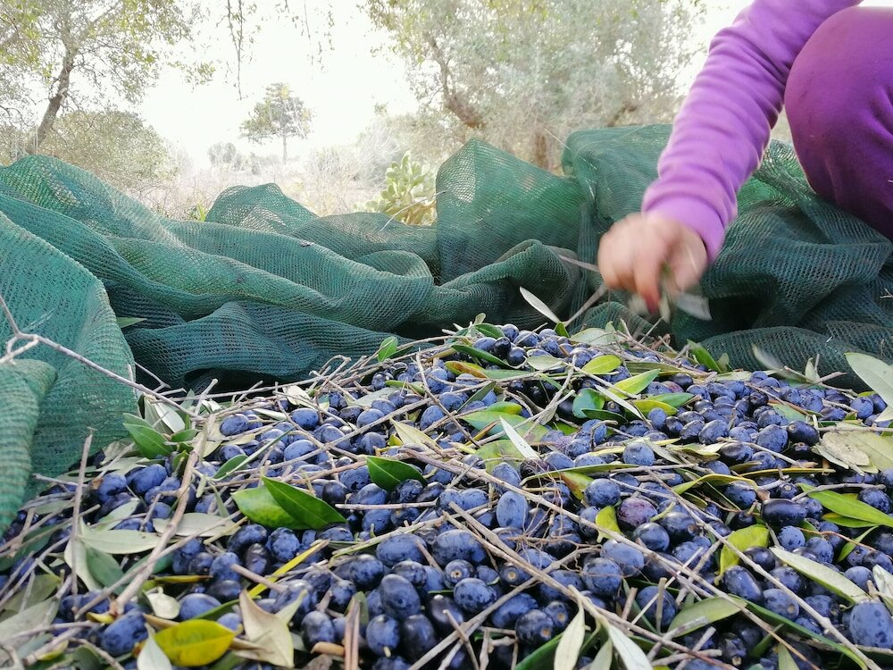Фото Country House da Già