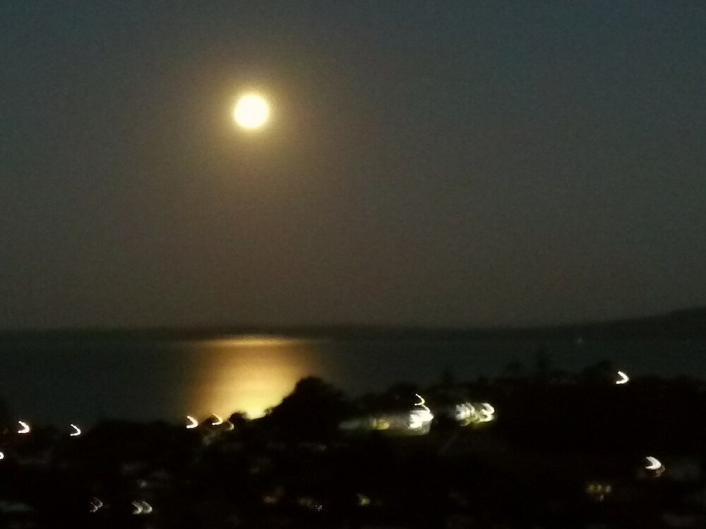 Фото Harbour View Guesthouse