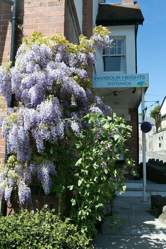 Гостиница Harbour Heights Guest House в Торки