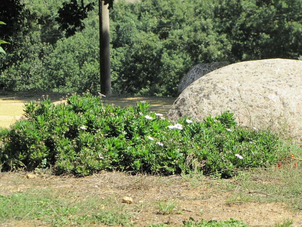 Фото Agriturismo San Pietro