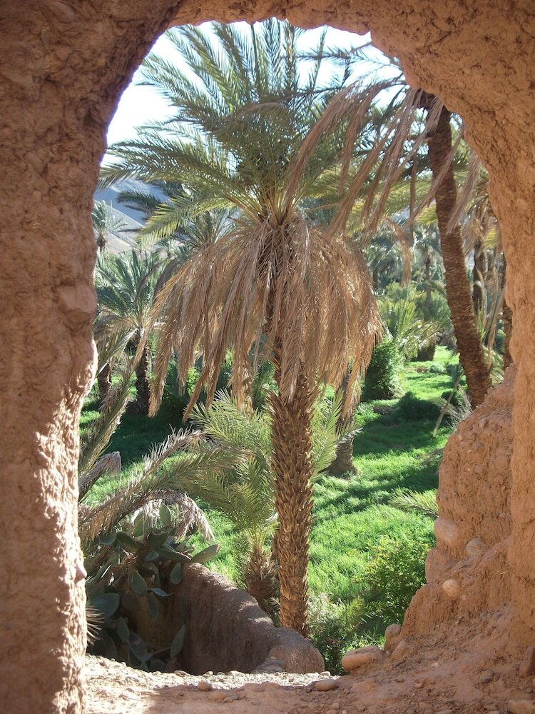 Фото Auberge Tamnougalt