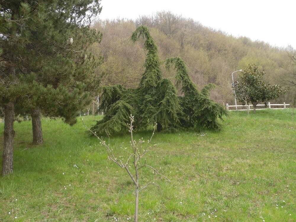 Фото Agriturismo Le Giare