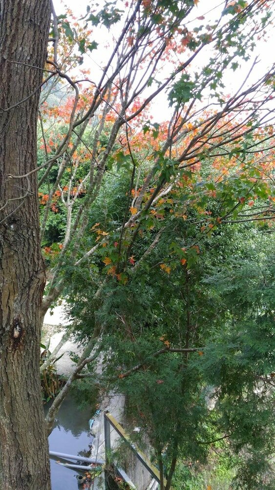 Фото Lily Village