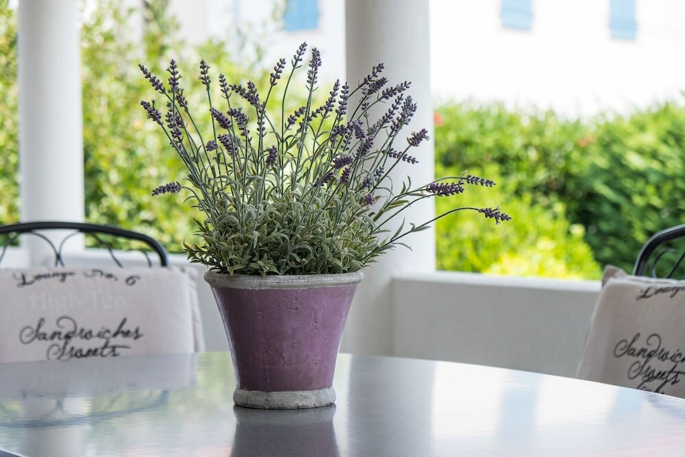 Фото Villa Mirta