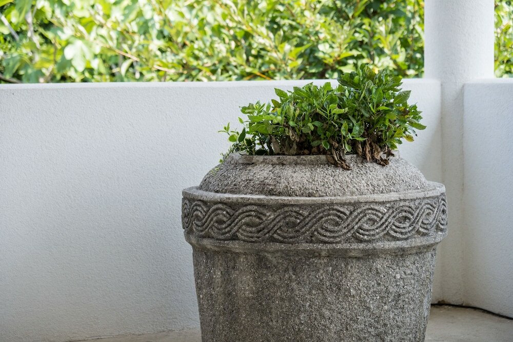 Фото Villa Mirta