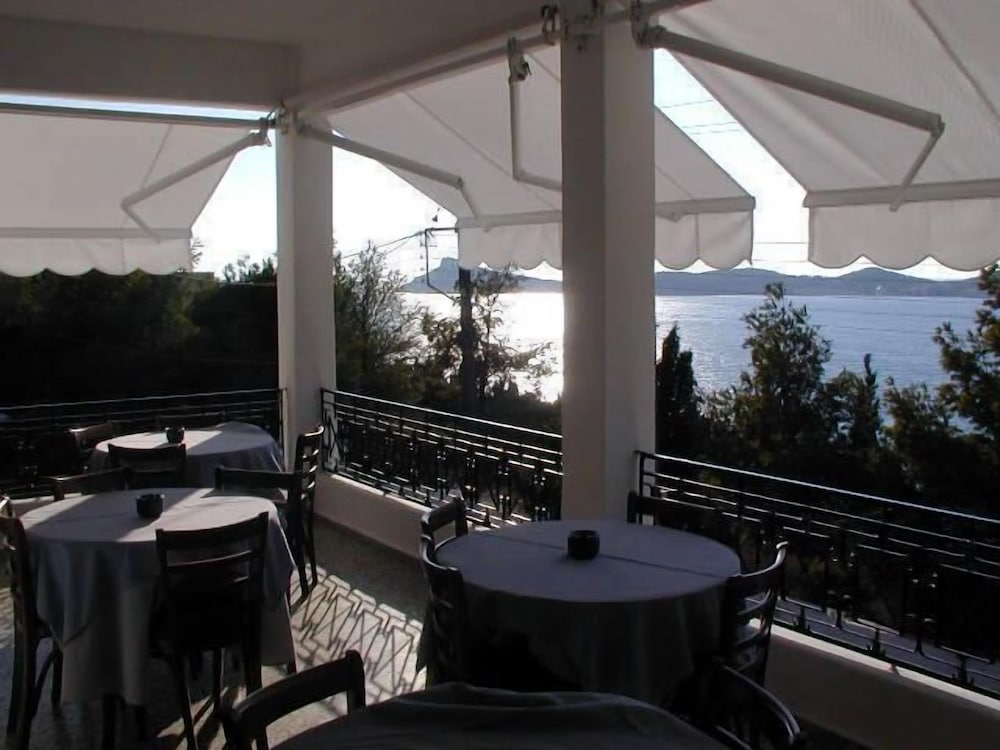 Фото Oasis Hotel