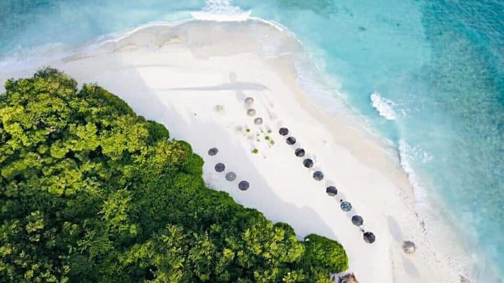 Фото Thundee Inn