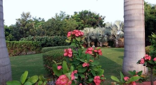 Гостиница Asiatic Pride Resort