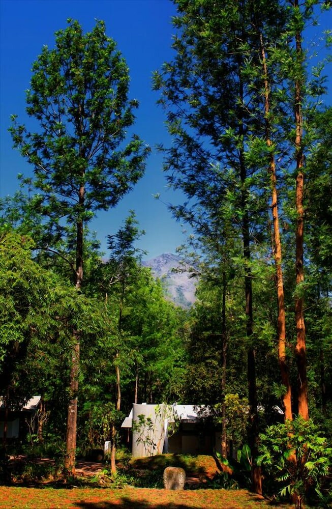 Фото Java Rain Resorts