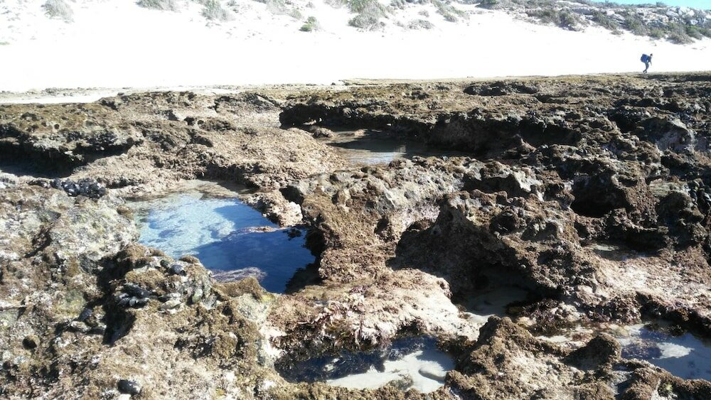 Фото BlueSky Guest House Arniston