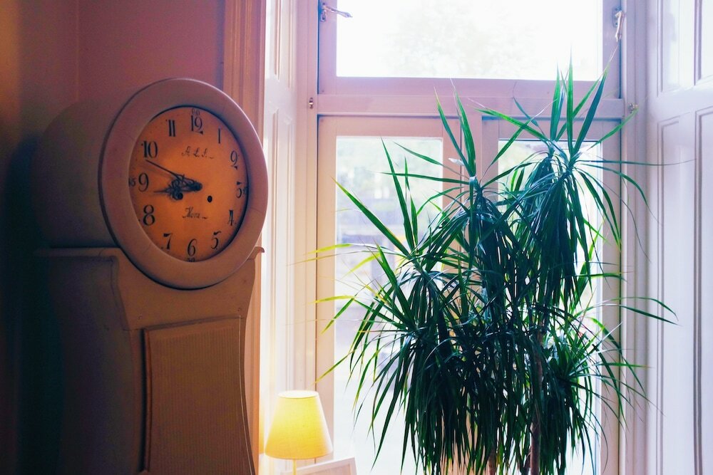 Фото Beautiful, Artistic, Heirloom Apartment