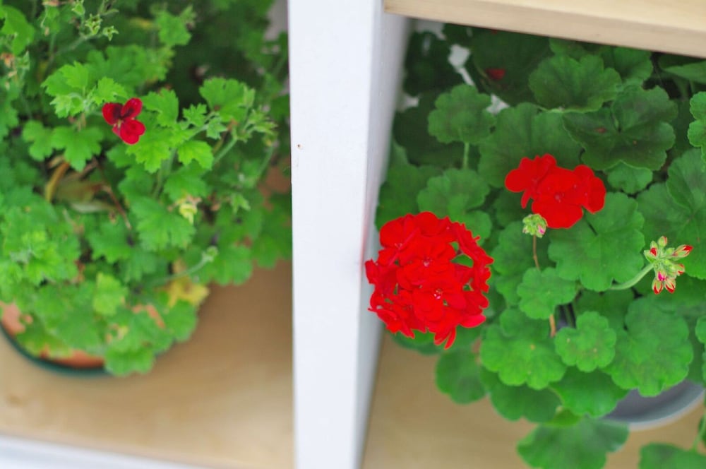 Фото The London Agent Camden Photo Library