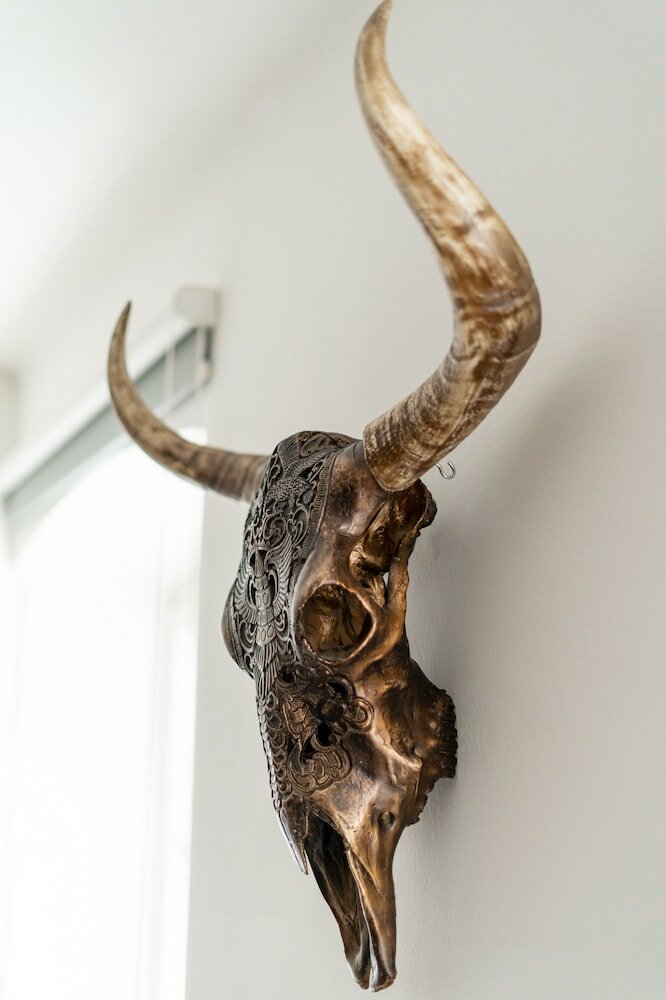 Фото Kaiser Max Design Appartements