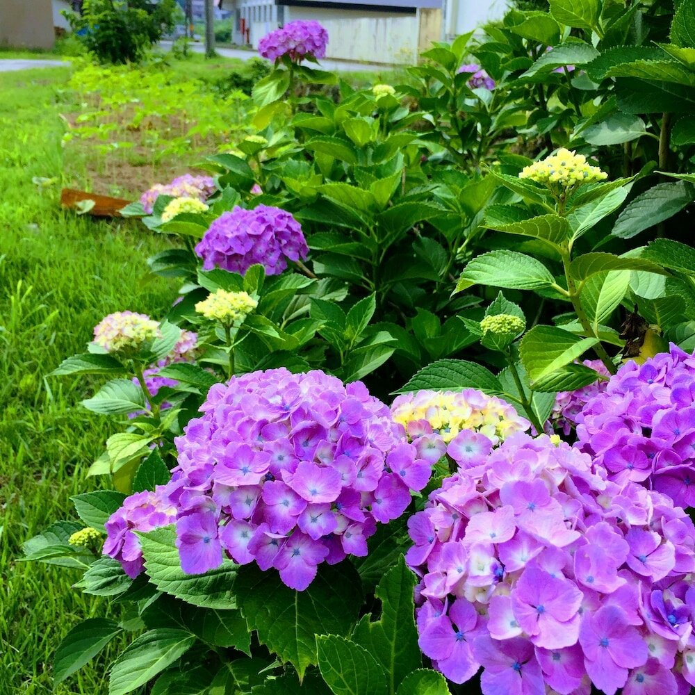 Фото Guesthouse Kinzaza