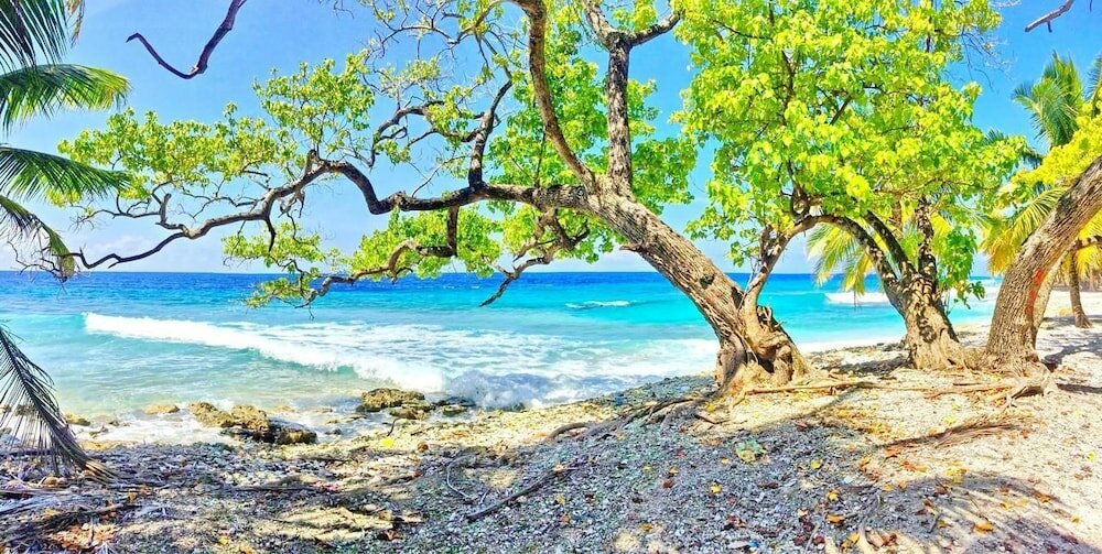 Фото Equator Residence