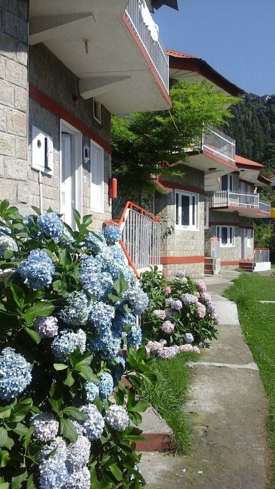 Фото Hotel Dev Cottage