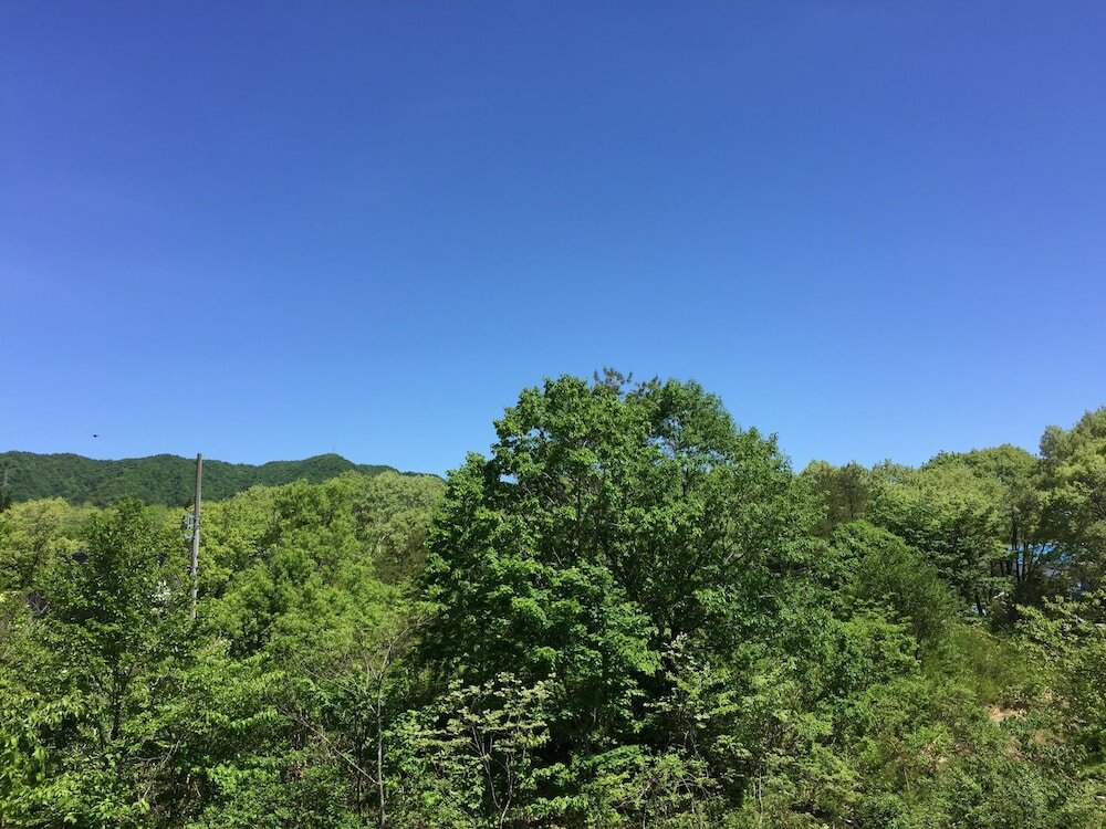 Фото Guesthouse Kinzaza