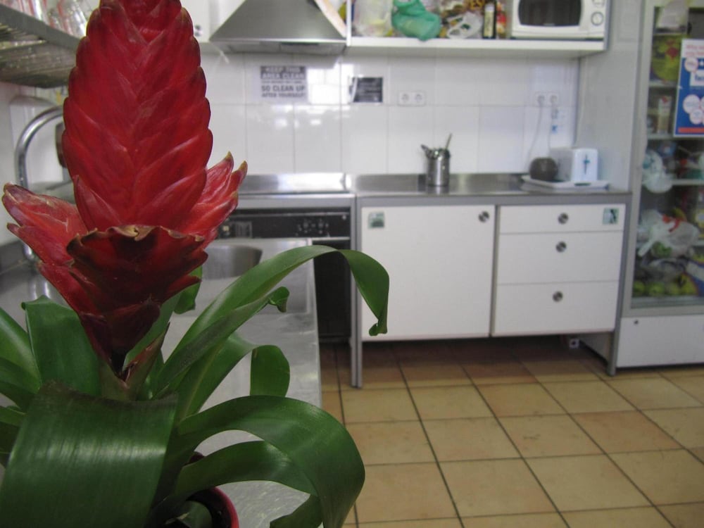 Фото Mellow Barcelona