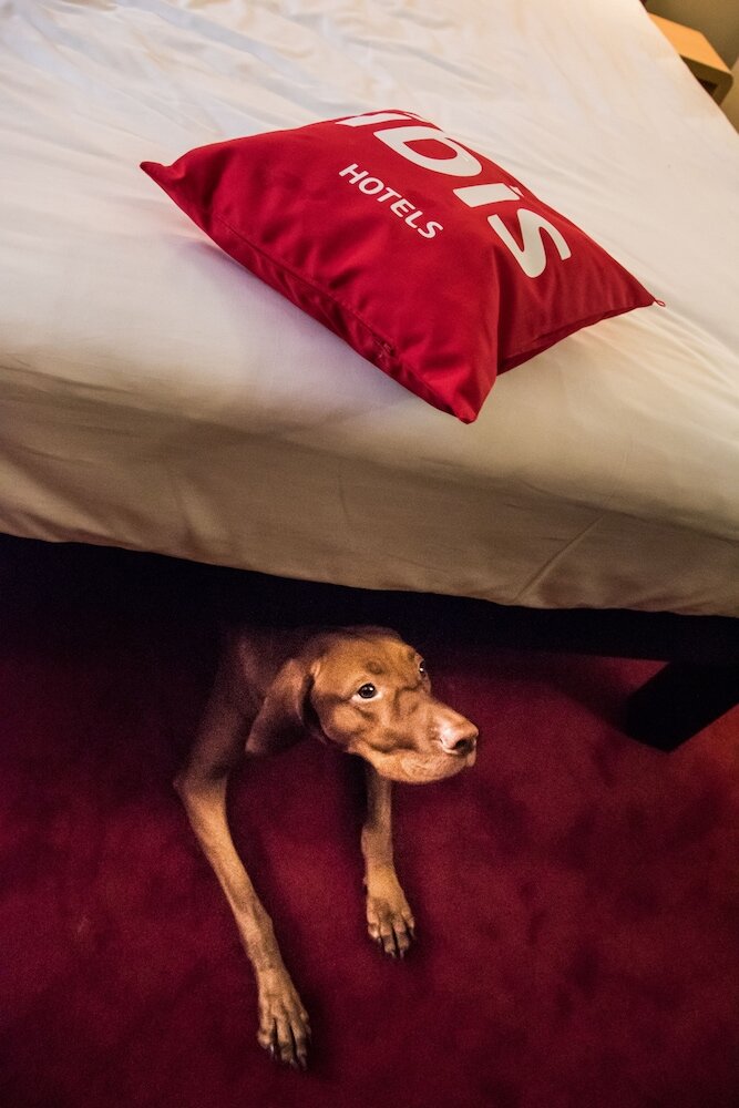 Фото Ibis Vilnius Centre