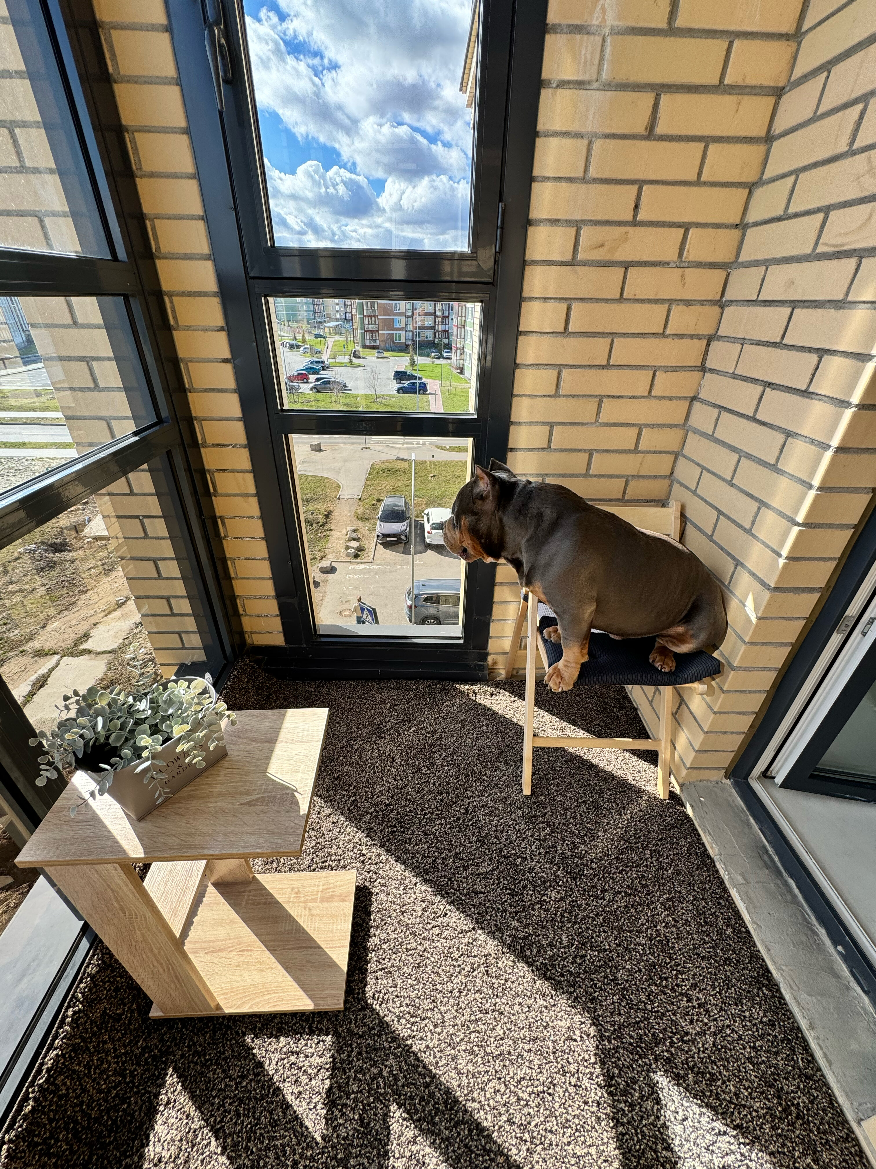 Фото Сказка