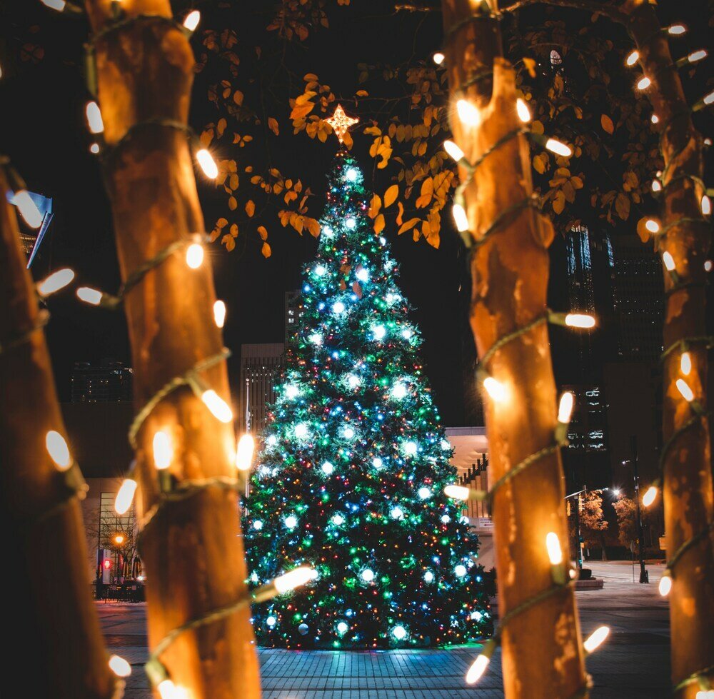 Фото Residence Inn by Marriott Charlotte Northlake