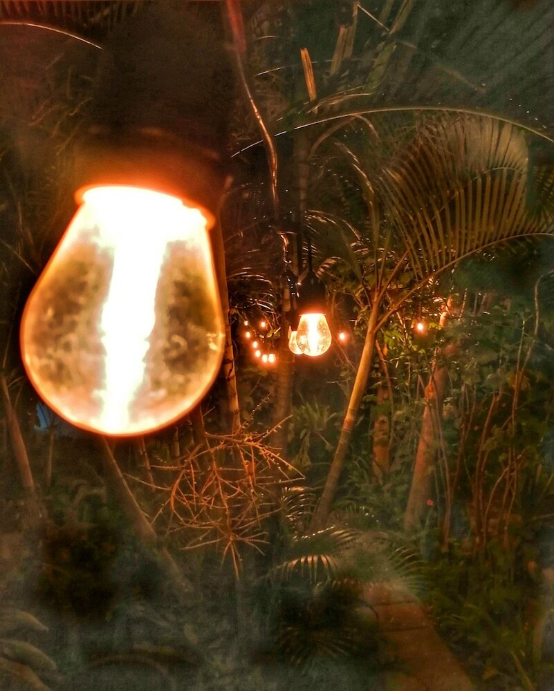 Фото Cinco Hotel