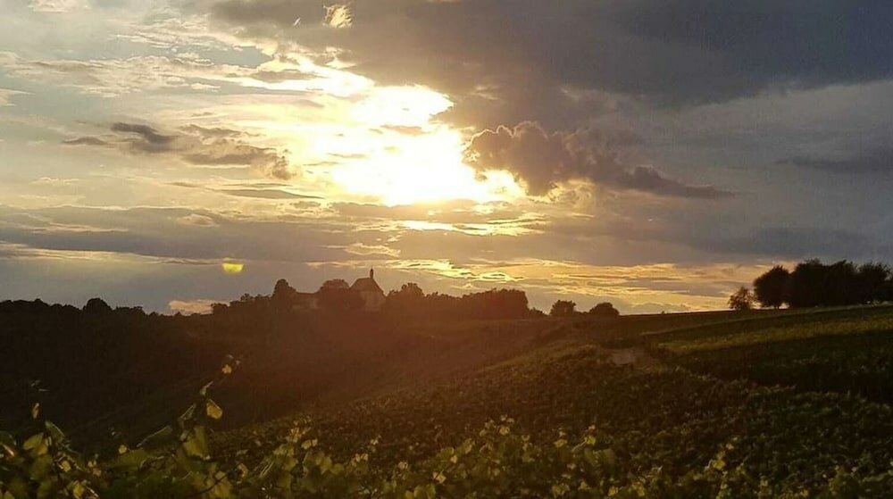 Фото Hotel Am Torturm