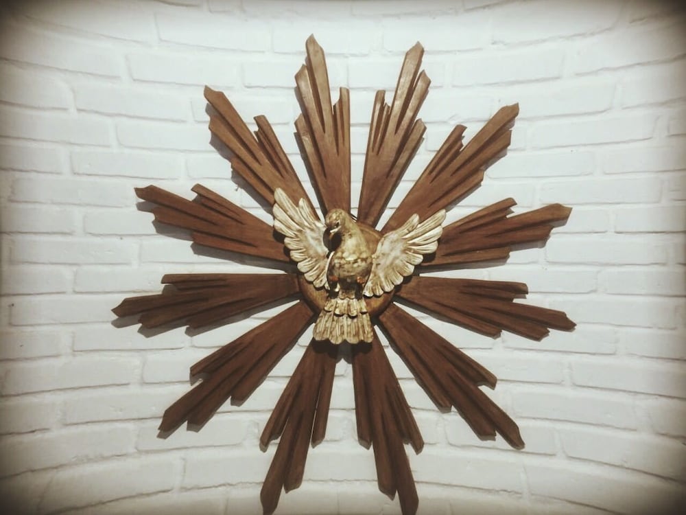 Фото Pousada Rancho do Ralf