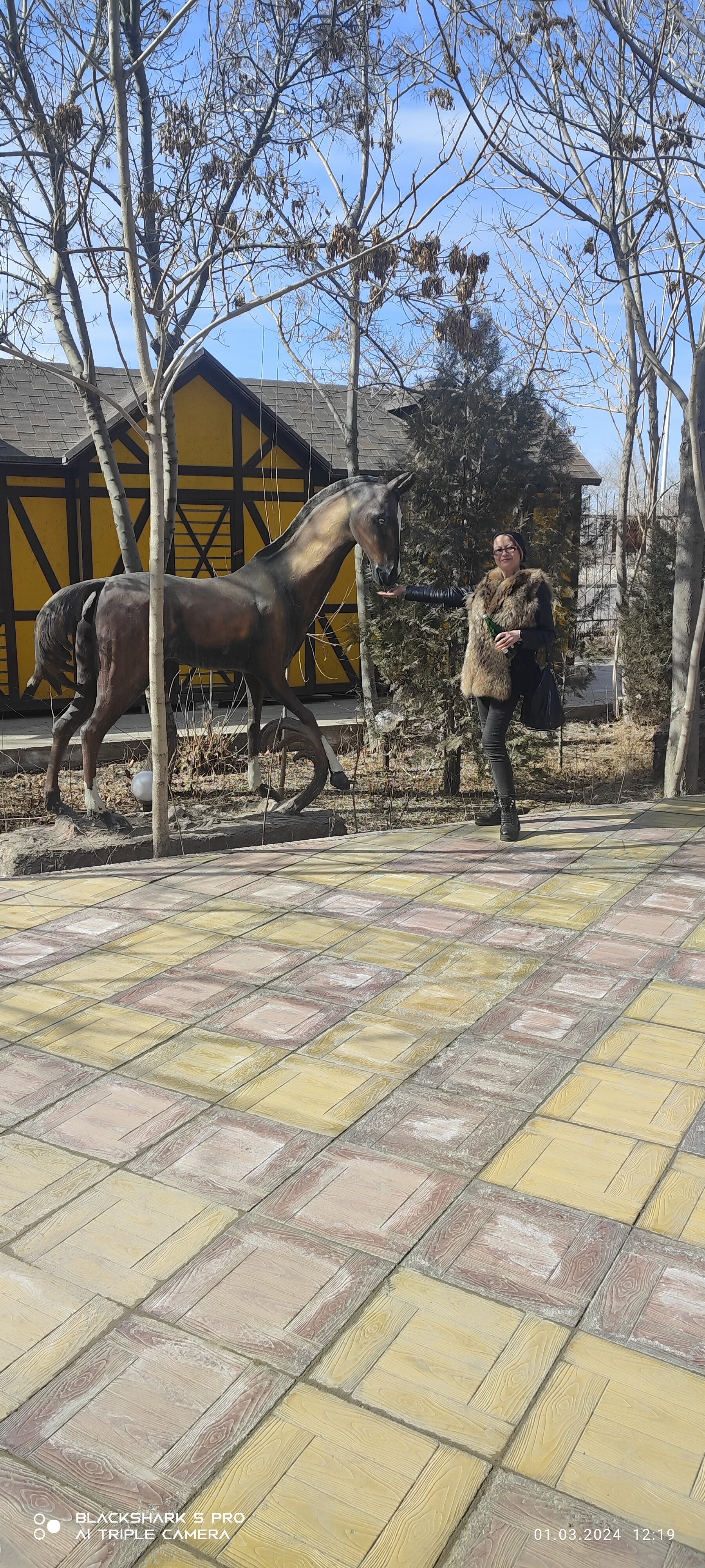 Фото Bella Vista