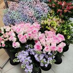 Floret (Komsomolskaya Street, 116с4), floristeria