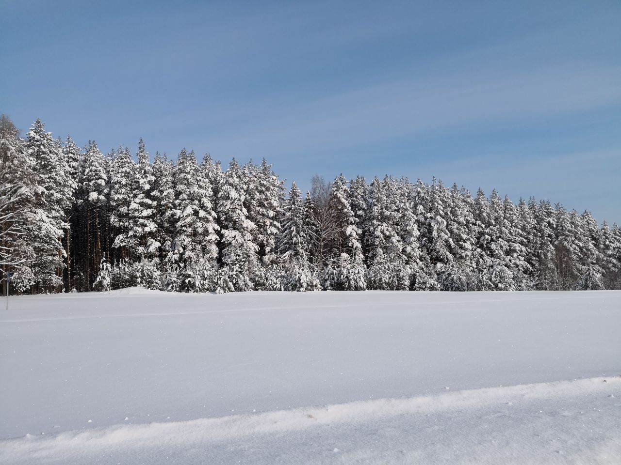 Фото Вилла Плёс