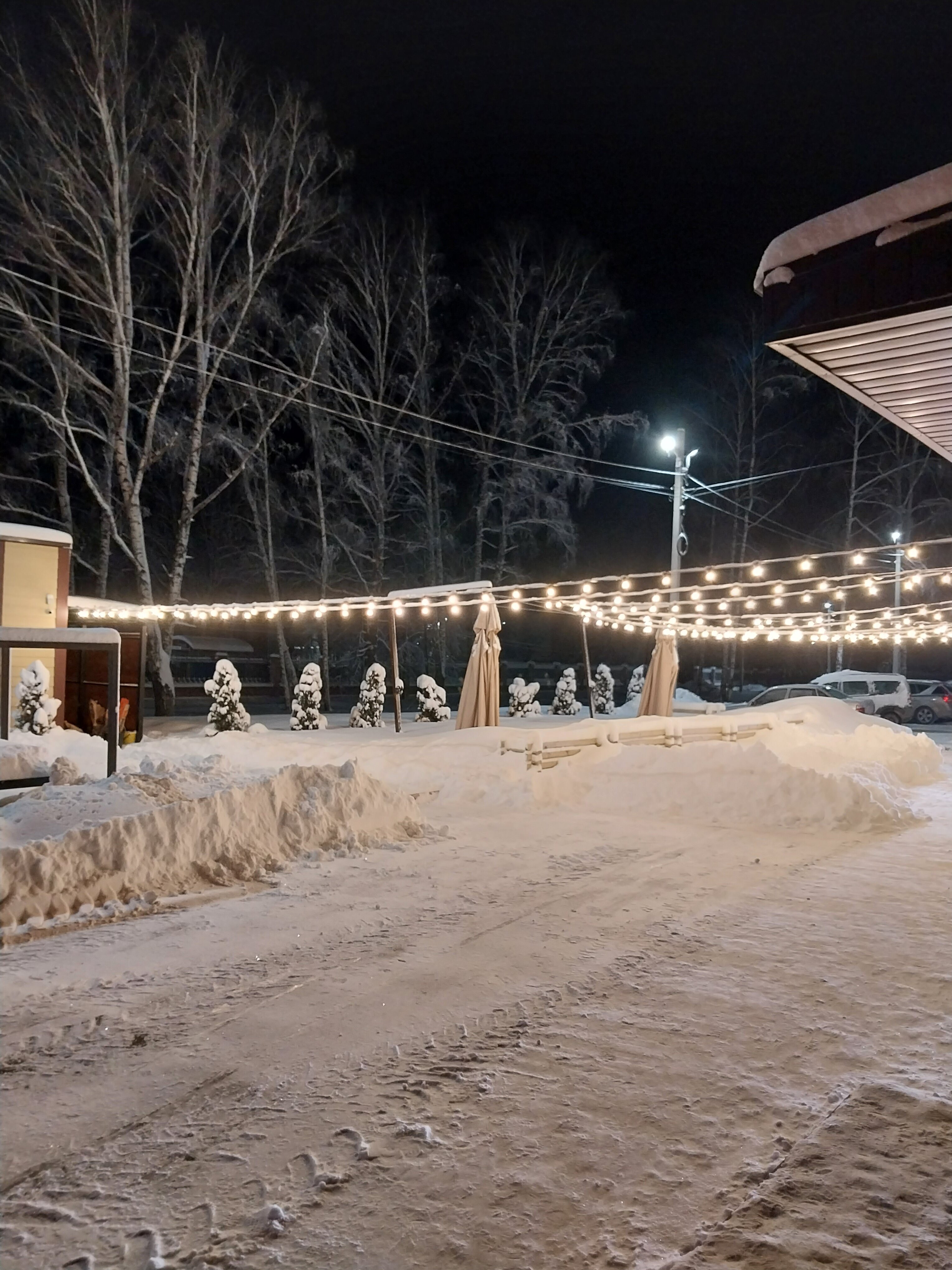 Фото Парк Отель Богородск