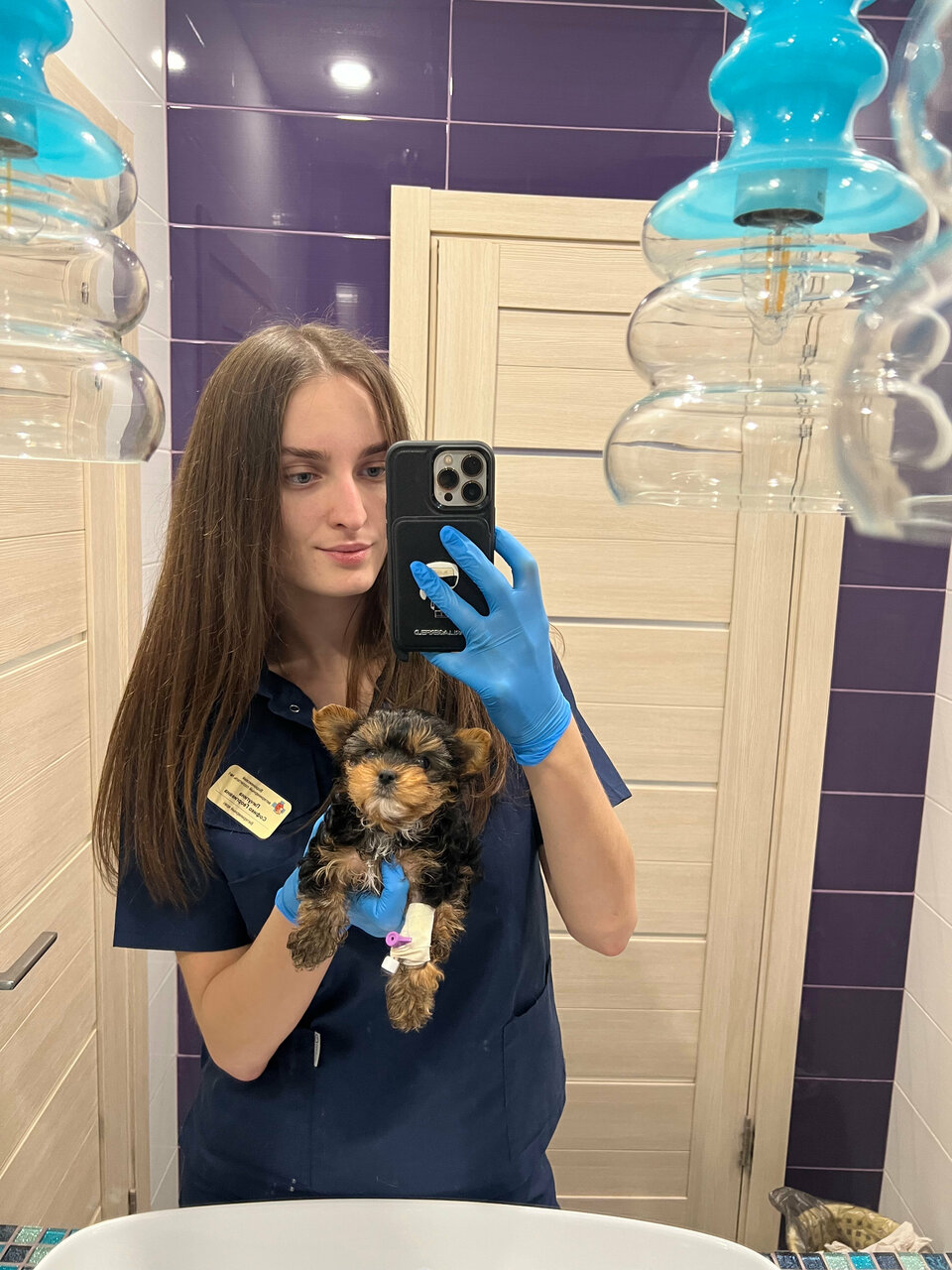 Круглосуточная ветклиника в Воронеже