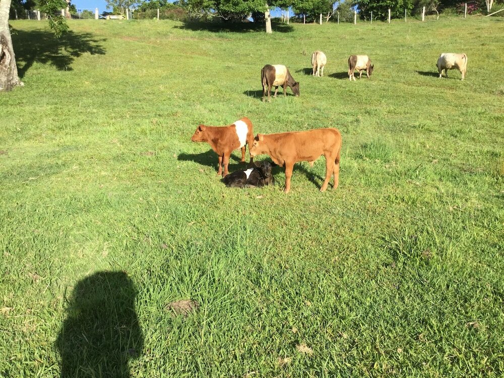 Фото The Croft Bed and Breakfast