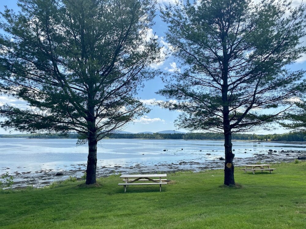 Фото Island View Hotel Bar Harbor
