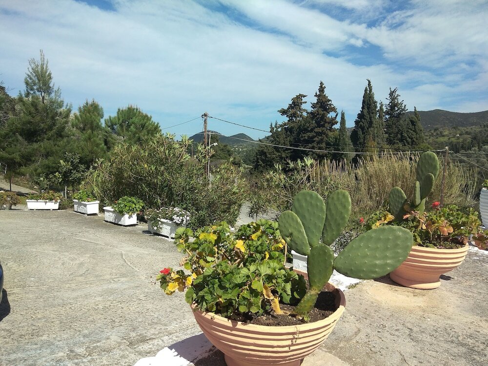 Фото Kimi apartments