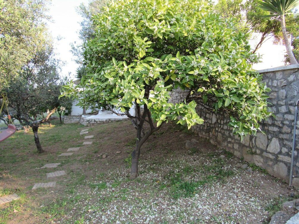 Фото Kallisto Studios